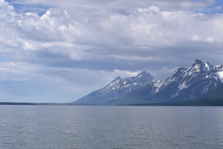 DSC_0064_1