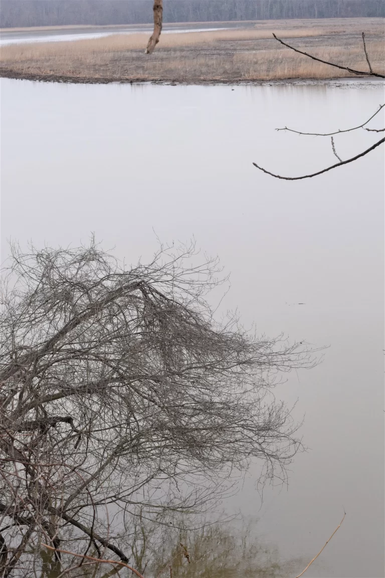 DSC_0080_1