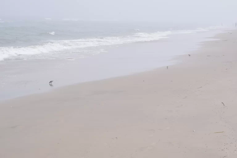 DSC_0714