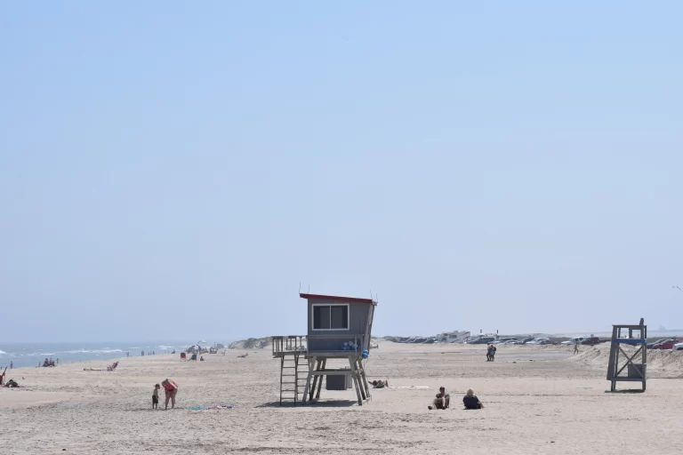 DSC_0729