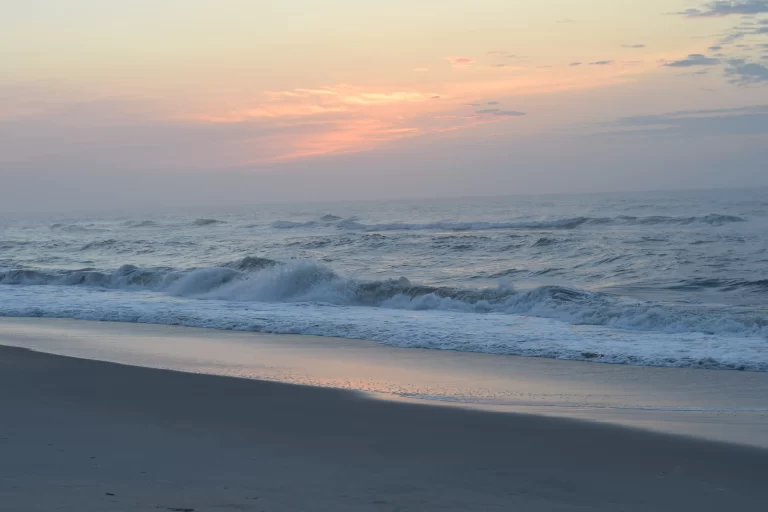 DSC_0801