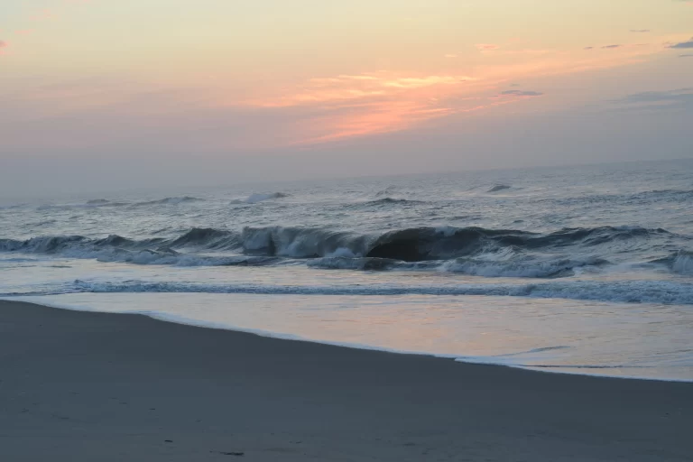 DSC_0803