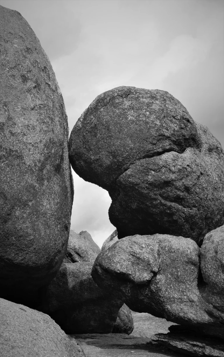 DSC_0837_1